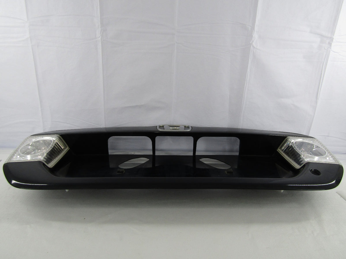03-05 Honda Pilot License Plate Rear Panel Emblem Badge Trim OEM 74890-S9VA-A000