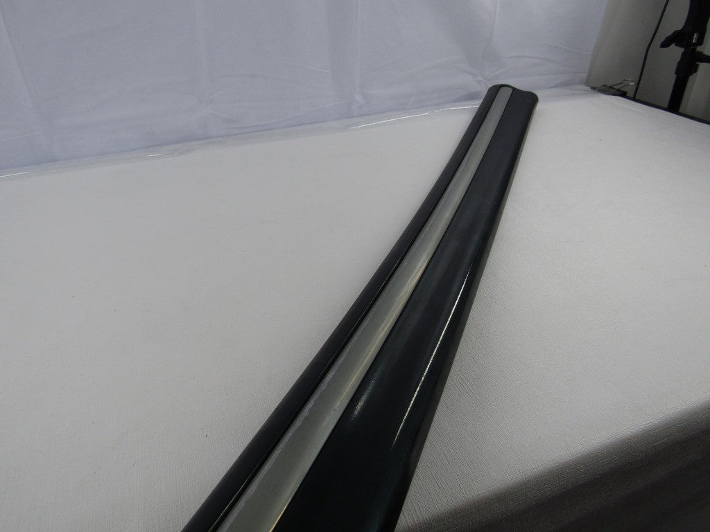 2000-2006 Toyota Tundra Left Front Door Molding Green OEM