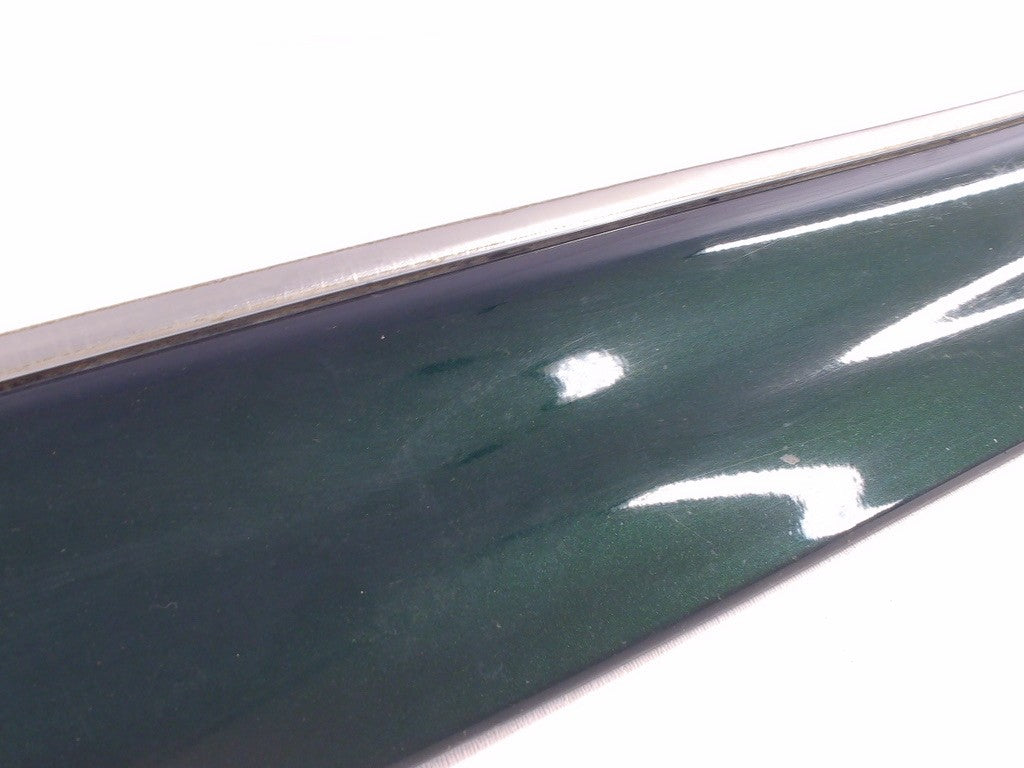 2001-2004 Toyota Sequoia Right Front Door Molding Green OEM