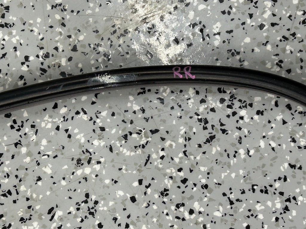 Lexus LX470 Rear Right Door Weatherstrip (On Body) 1998-2002 Gray OEM