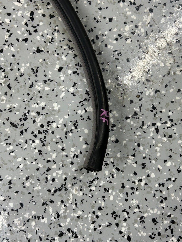 Lexus LX470 Front Right Door Weatherstrip (On Body) 1998-2002 Gray OEM