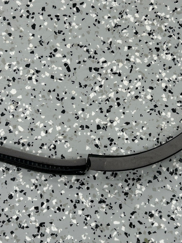 Lexus LX470 Rear Left Door Weatherstrip (On Body) 1998-2002 Gray OEM