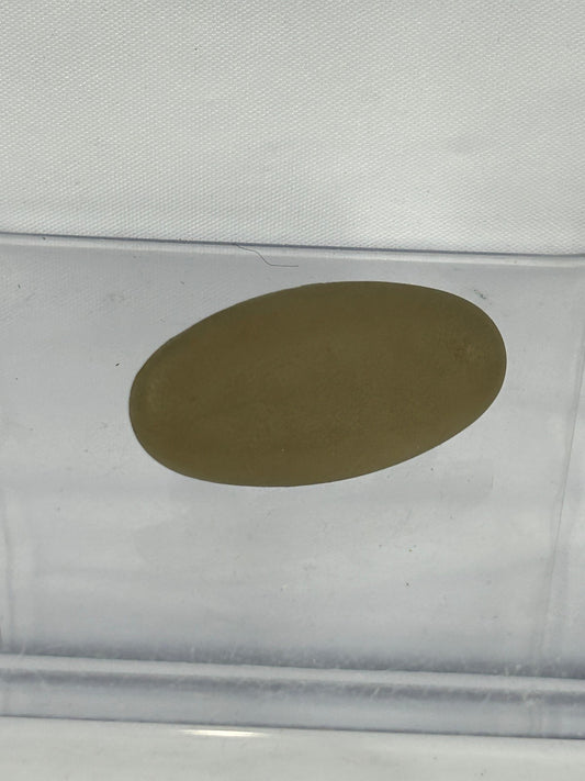 2000-2006 Toyota Tundra Side Stopper Blank Trim Cover OEM