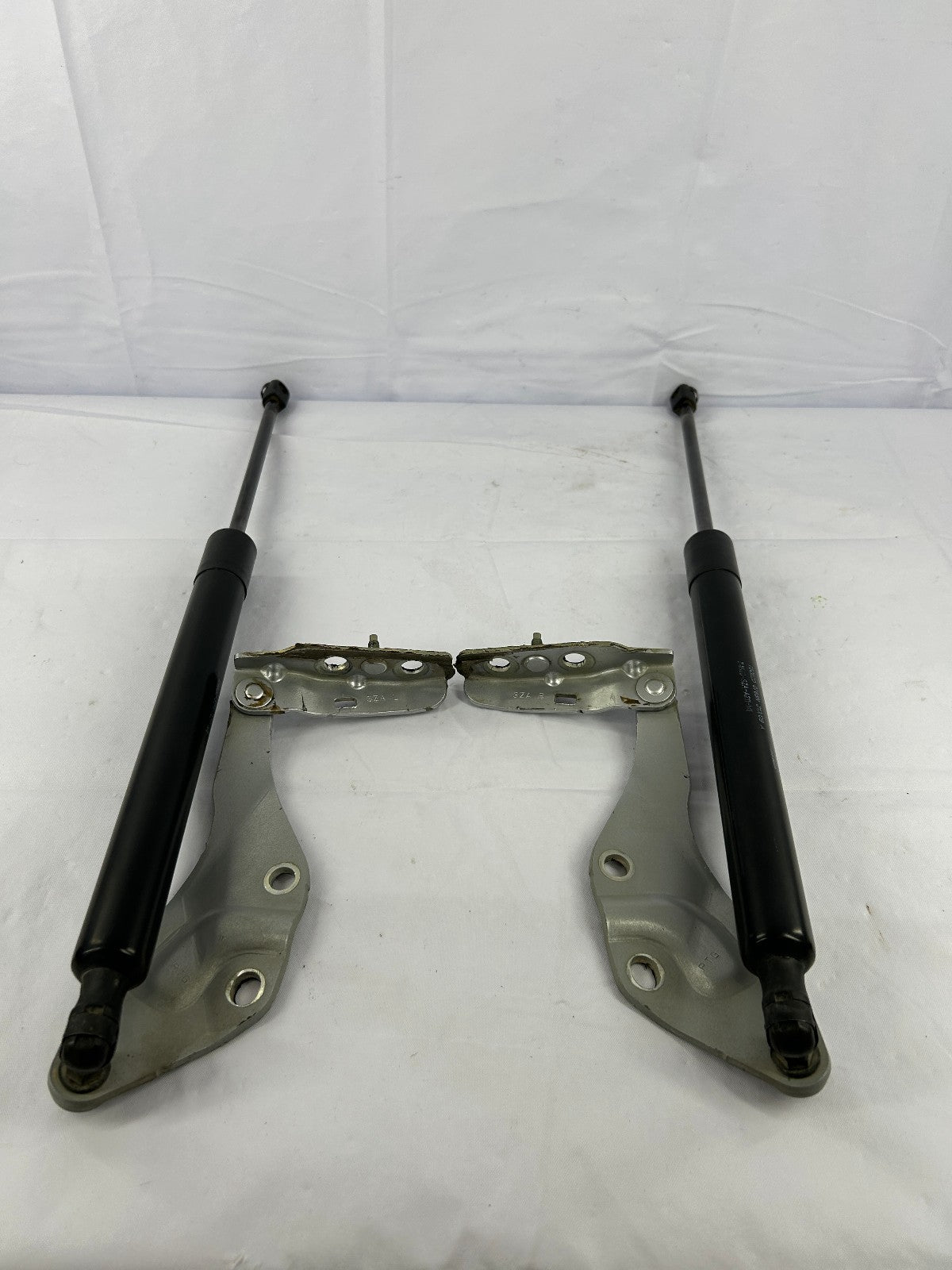 2009-2015 Honda Pilot Rear Liftgate Hinge Set With Struts