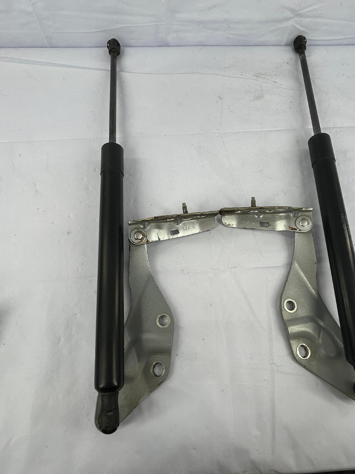 2009-2015 Honda Pilot Rear Liftgate Hinge Set With Struts