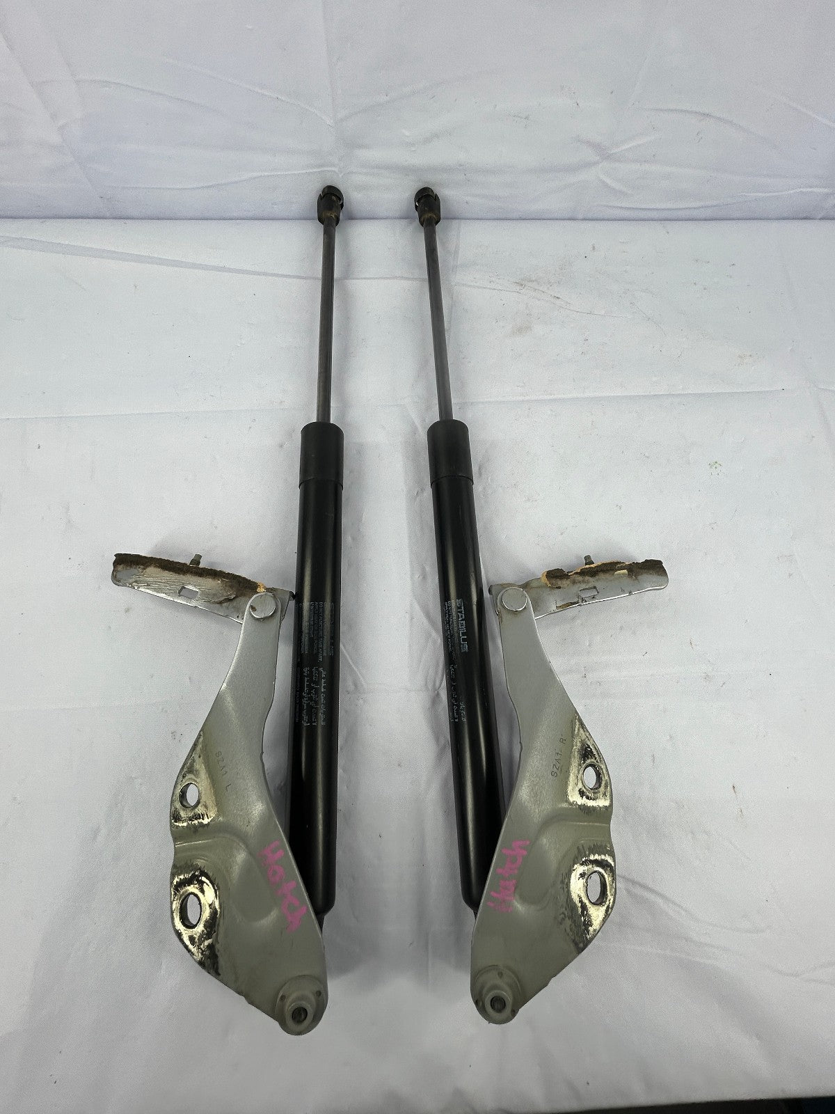 2009-2015 Honda Pilot Rear Liftgate Hinge Set With Struts