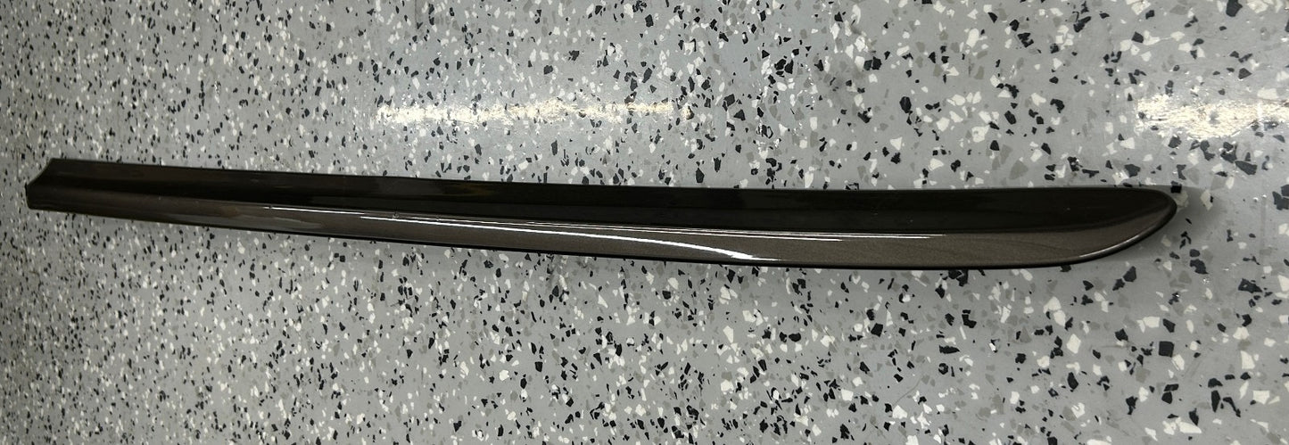 2005-2009 Subaru Outback Front Left Door Molding Protector Bronze OEM