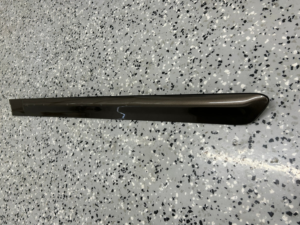 05-09 Subaru Outback Rear Left Door Molding Protector Bronze OEM 91012AG03ANN