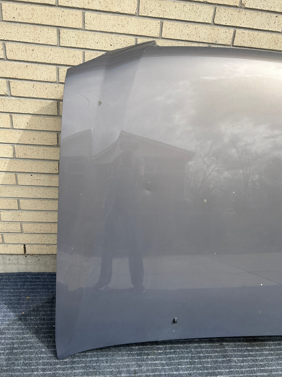 1998-2007 Lexus LX470 Hood Panel 1C2 Smoky Topaz Mica OEM 5330160520