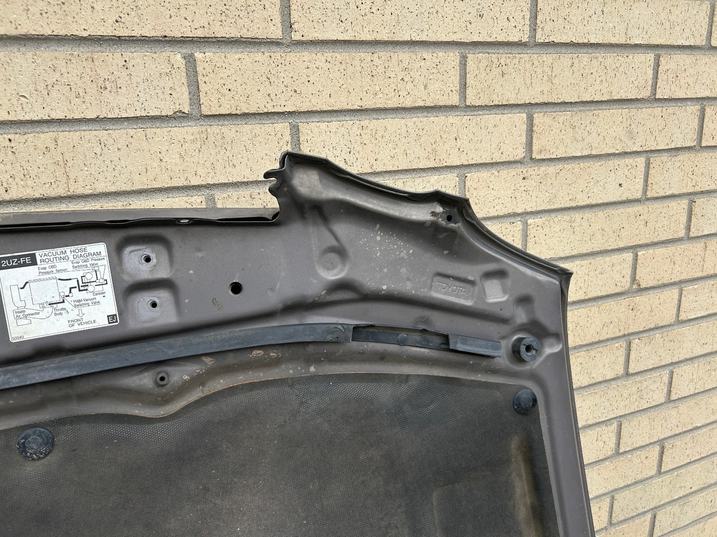 1998-2007 Lexus LX470 Hood Panel 1C2 Smoky Topaz Mica OEM 5330160520