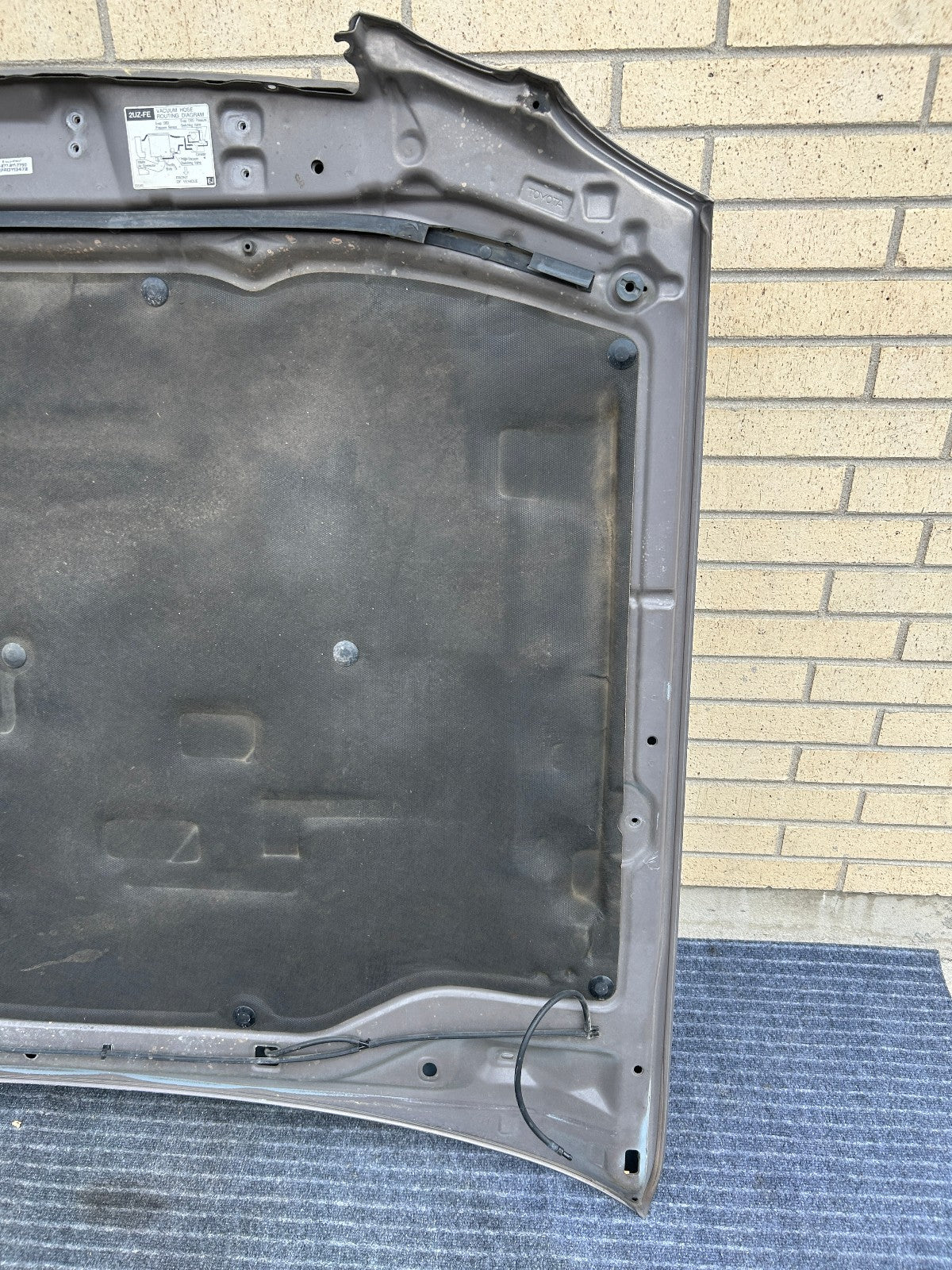 1998-2007 Lexus LX470 Hood Panel 1C2 Smoky Topaz Mica OEM 5330160520