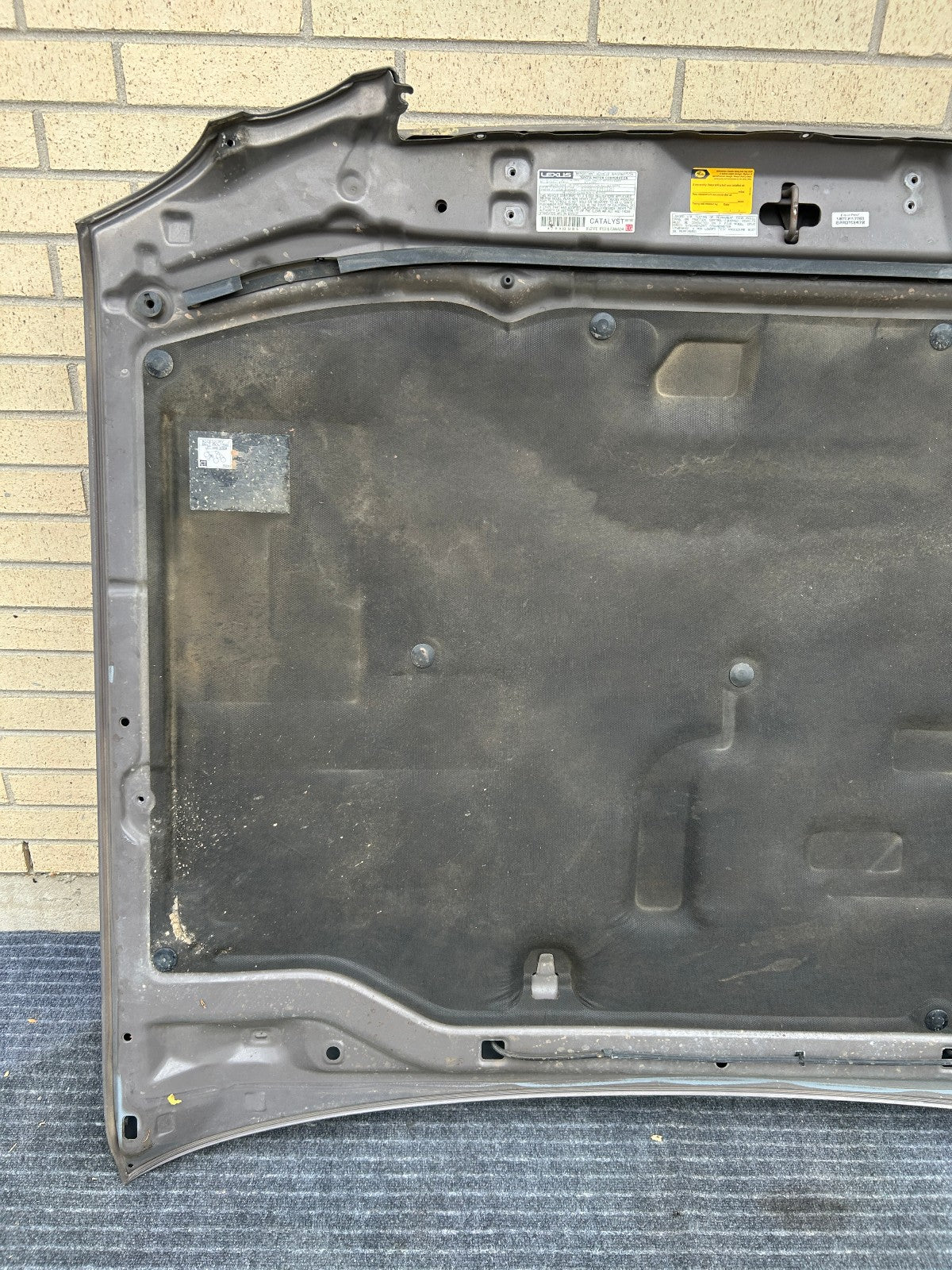 1998-2007 Lexus LX470 Hood Panel 1C2 Smoky Topaz Mica OEM 5330160520