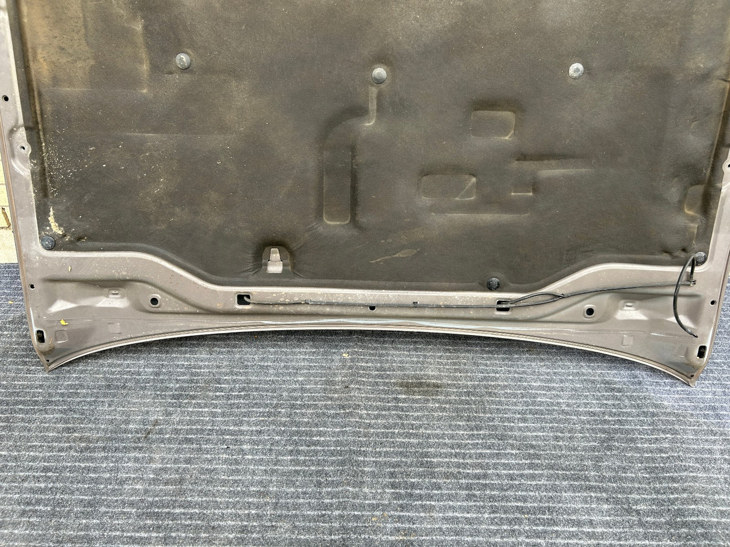 1998-2007 Lexus LX470 Hood Panel 1C2 Smoky Topaz Mica OEM 5330160520