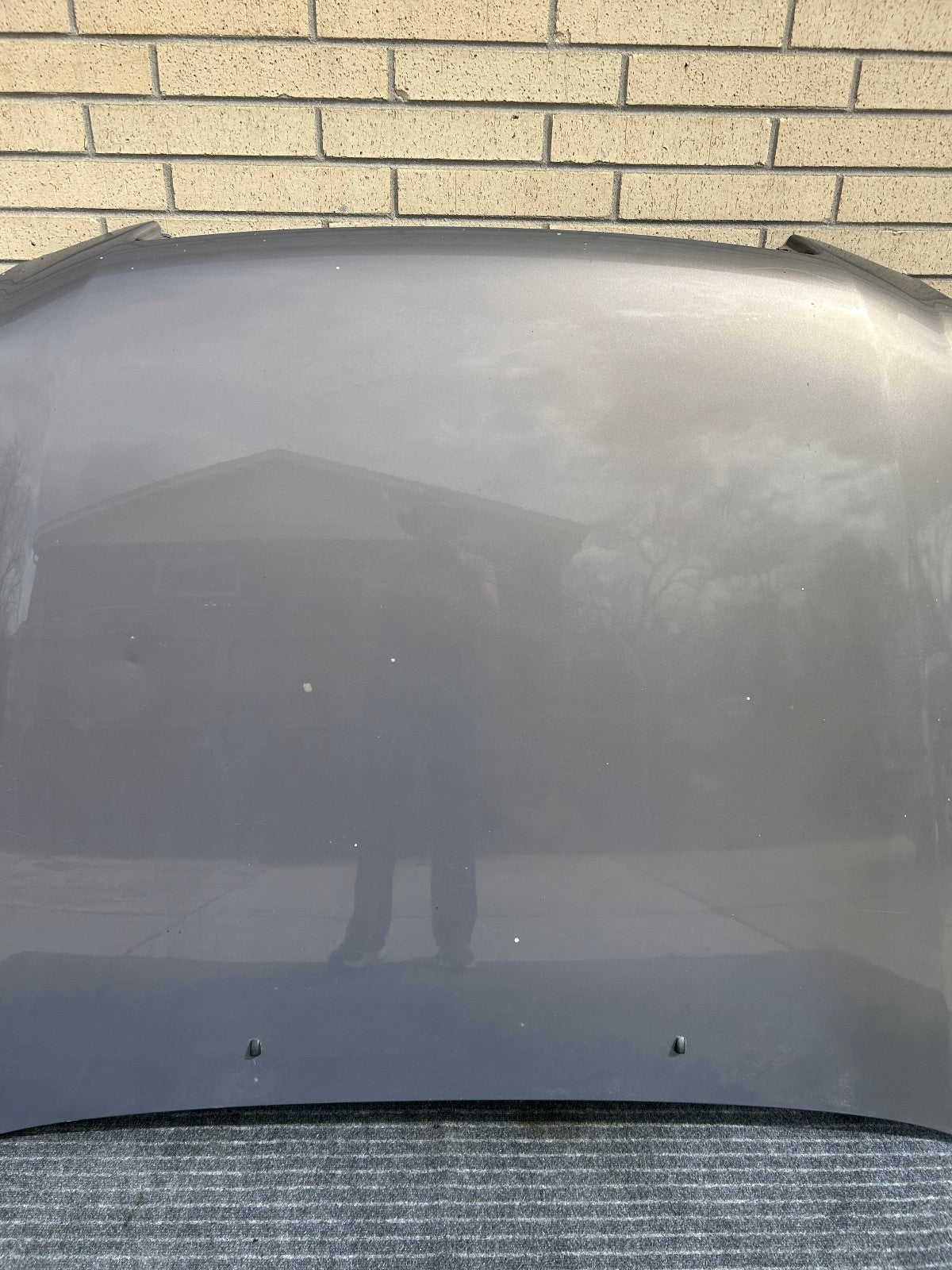 1998-2007 Lexus LX470 Hood Panel 1C2 Smoky Topaz Mica OEM 5330160520