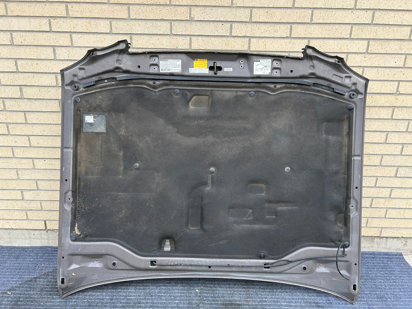 1998-2007 Lexus LX470 Hood Panel 1C2 Smoky Topaz Mica OEM 5330160520