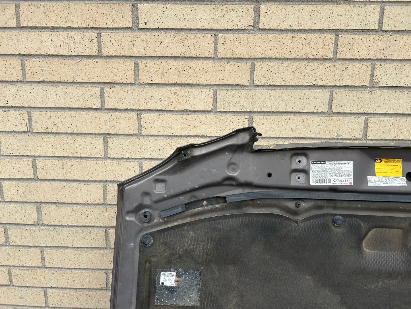 1998-2007 Lexus LX470 Hood Panel 1C2 Smoky Topaz Mica OEM 5330160520