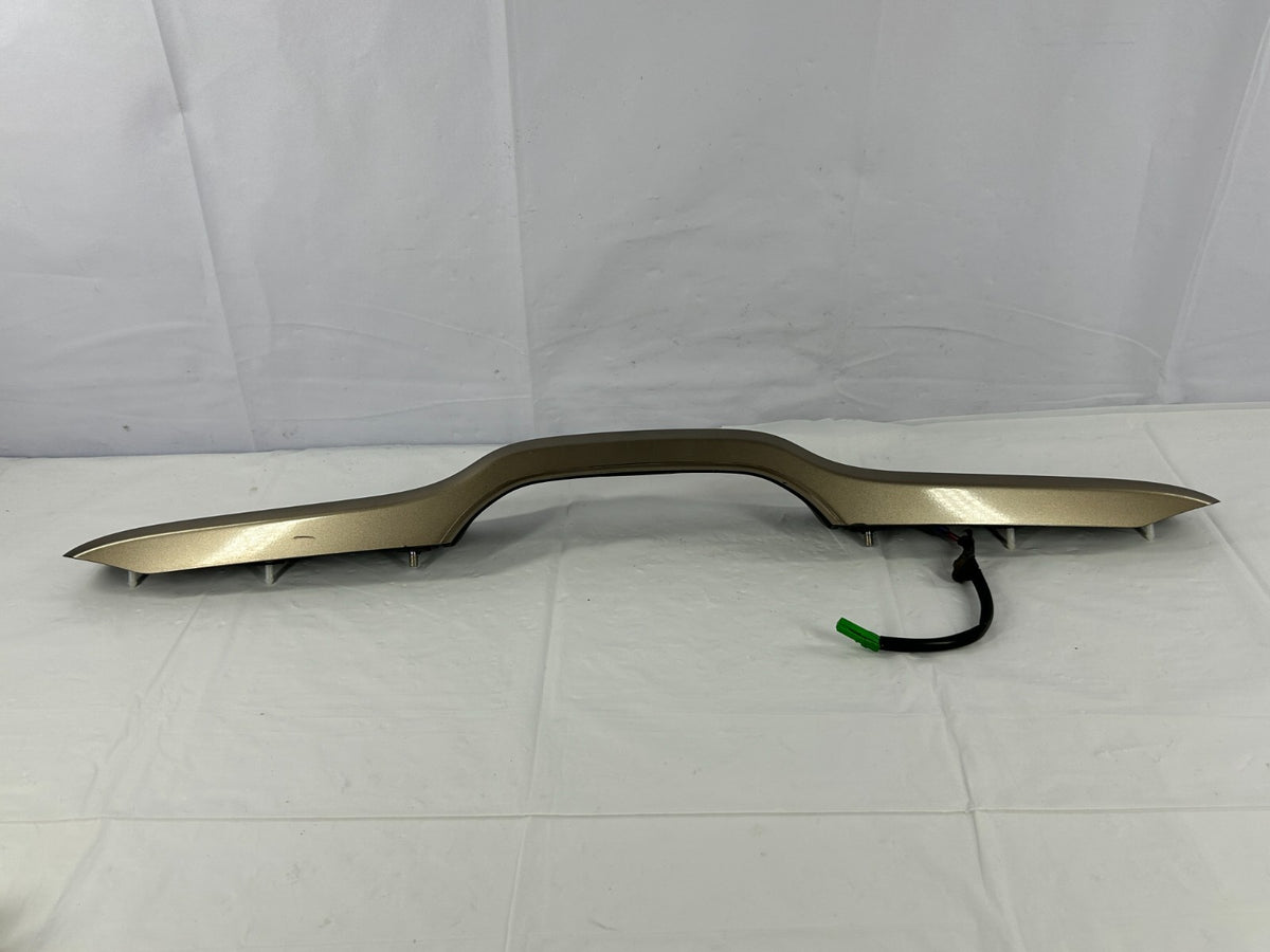 2009-2011 Honda Pilot Trunk Tailgate Liftgate Handle Brown OEM 74810-SZA-A02