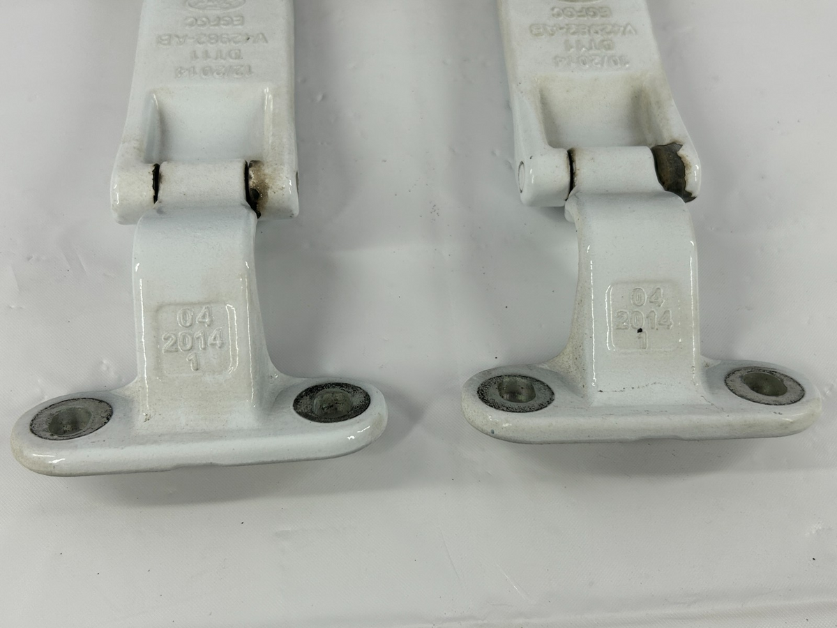 14-18 Ford Transit Connect Rear Left Hatch Door Hinges Pair OEM DT11-V42982-AB