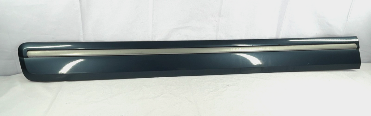 2004-2007 Toyota Sequoia Front Left Driver Door Molding Trim OEM 75732-0C060