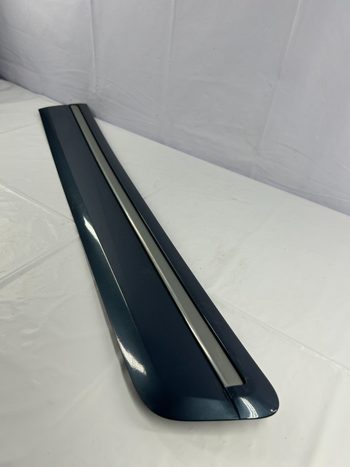 2004-2007 Toyota Sequoia Rear Left Driver Door Molding Trim Blue OEM 75742-0C100