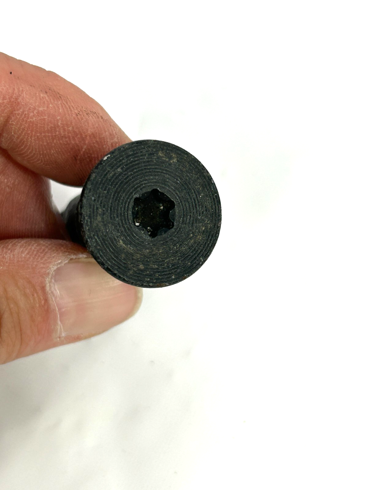 1998-2007 Toyota Land Cruiser Seat Belt Shoulder Anchor Mount Torx Bolts OEM